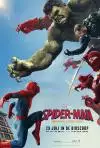 SpiderManBrandNewDay_134272072906393541_big-cine_deskt.webp