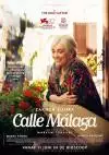 CalleMalaga_134324694822696542_big-cine_deskt.webp